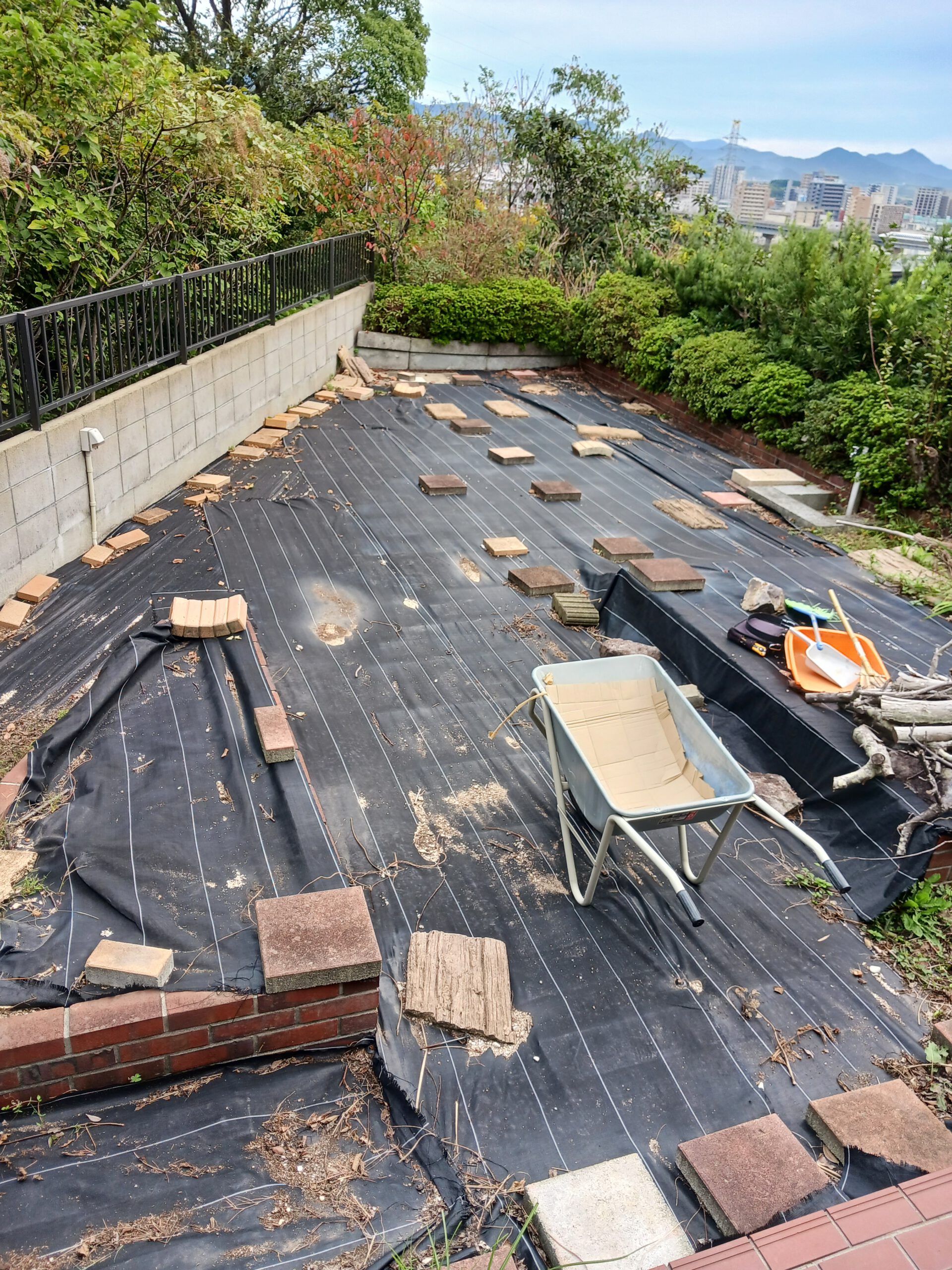 活動実績の画像