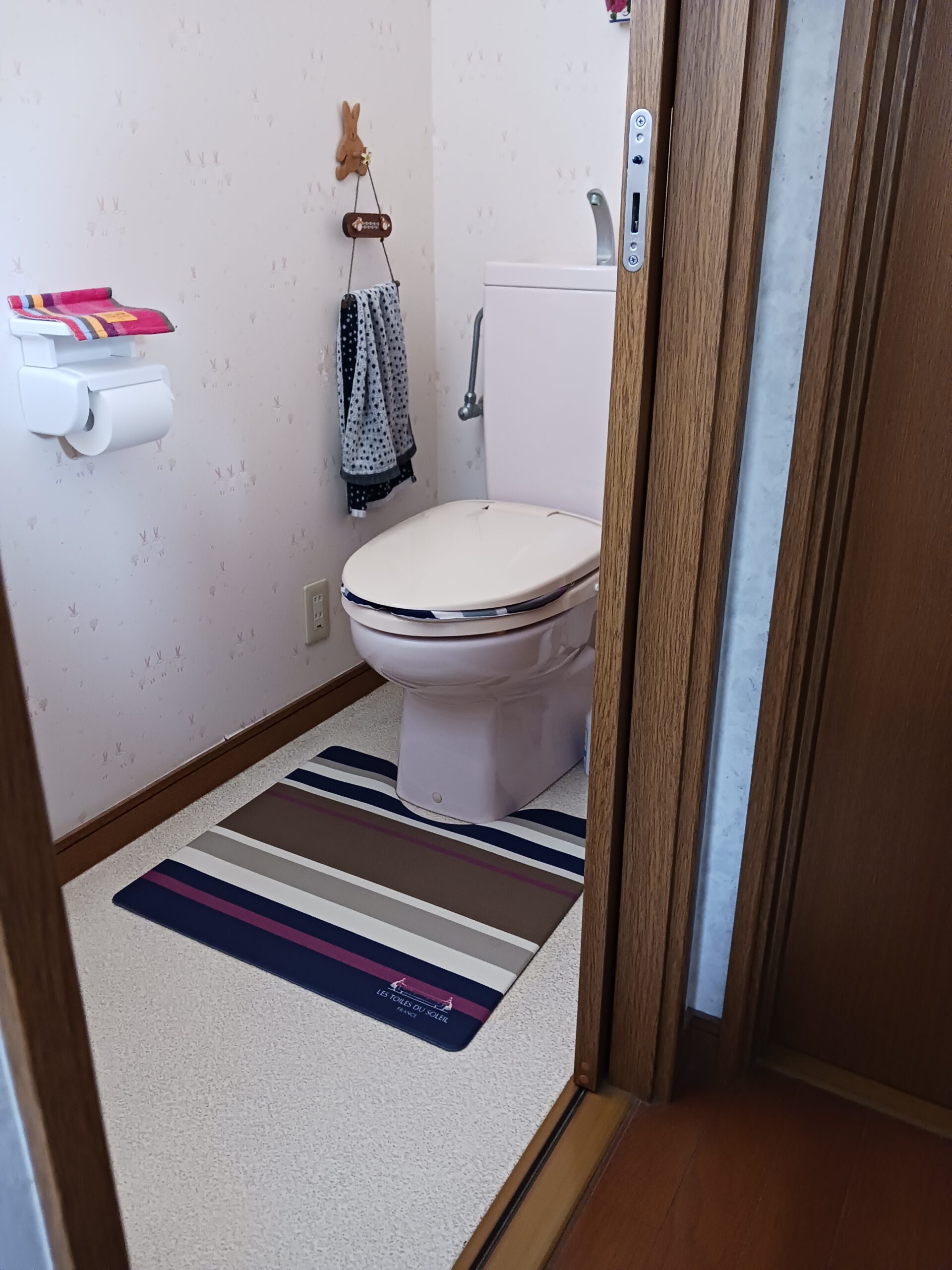 活動実績の画像