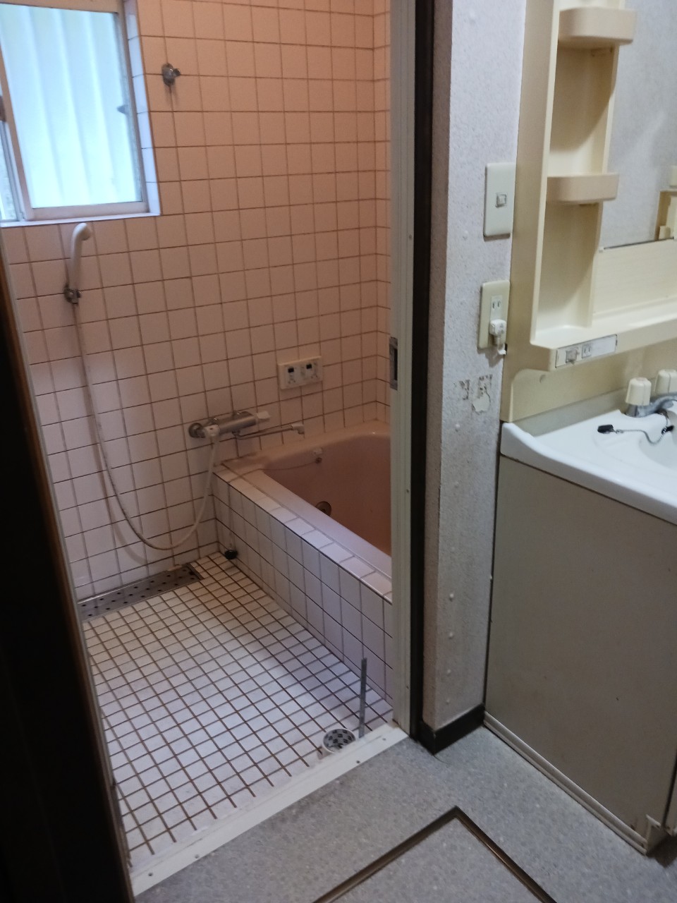 活動実績の画像