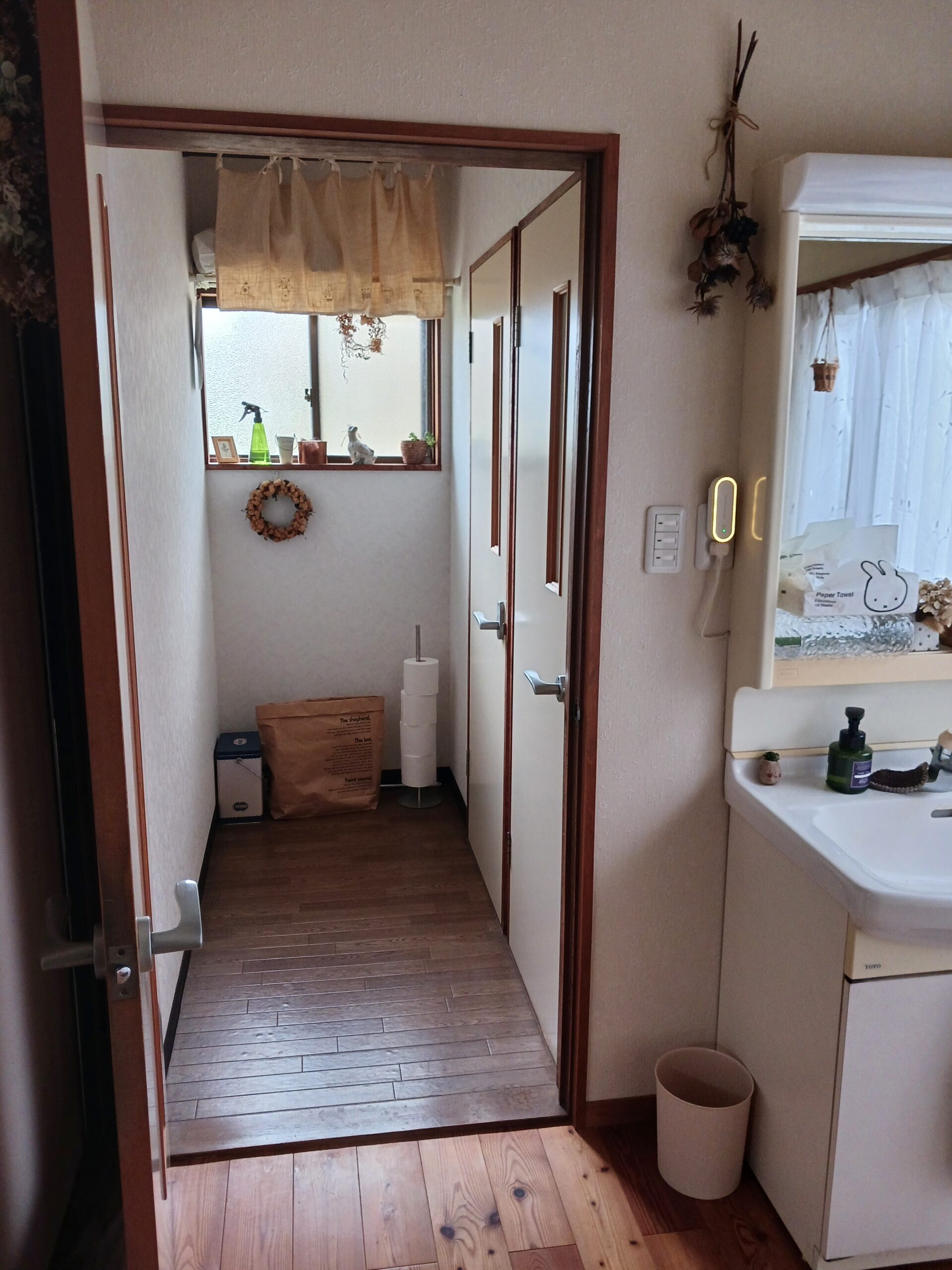 活動実績の画像