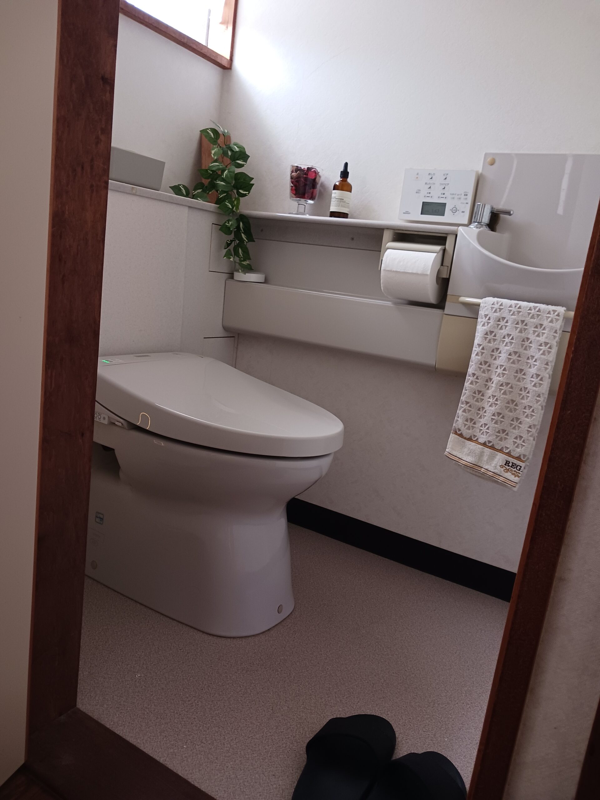 活動実績の画像